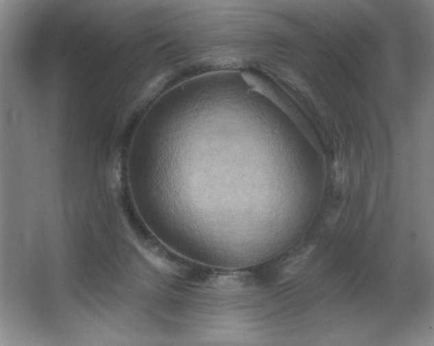 X0000067350072200603311203