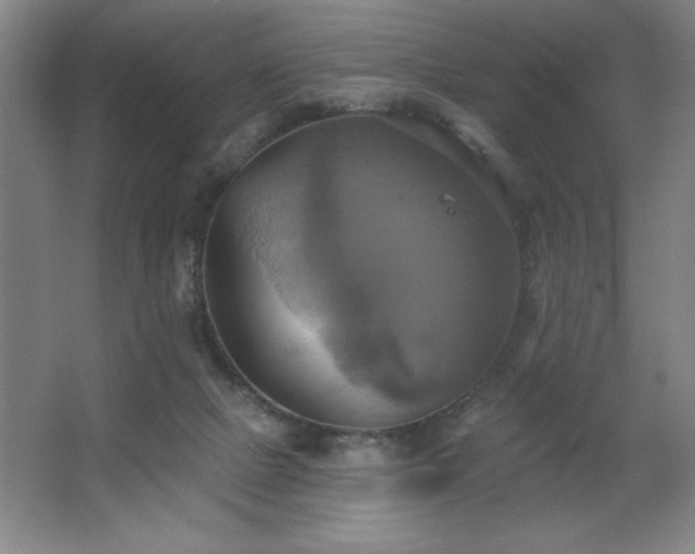 X0000067350073200603311203
