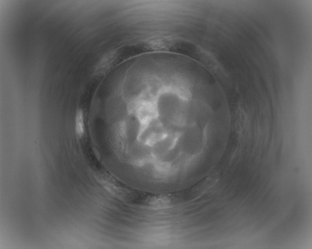 X0000067350075200603311203