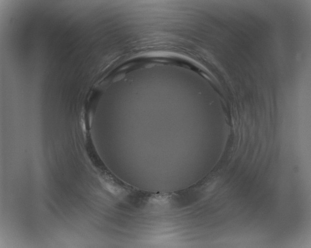 X0000067350076200603311203