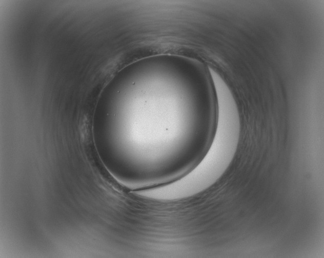 X0000067350077200603311203