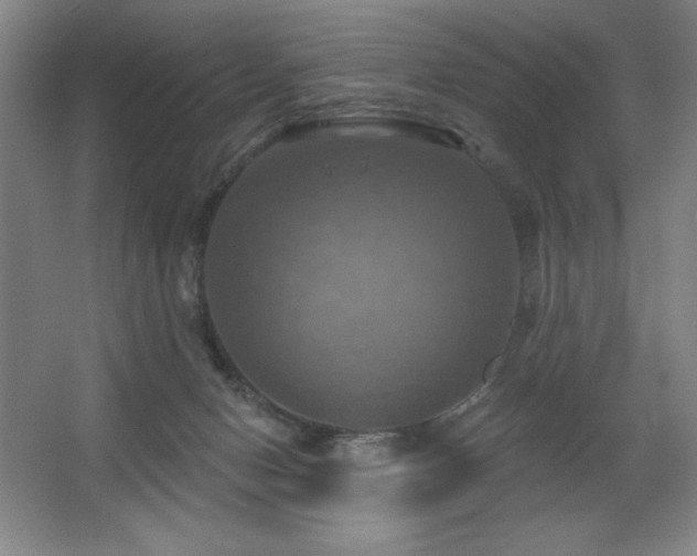 X0000067350078200603311203