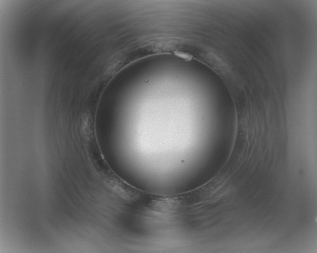 X0000067350079200603311203