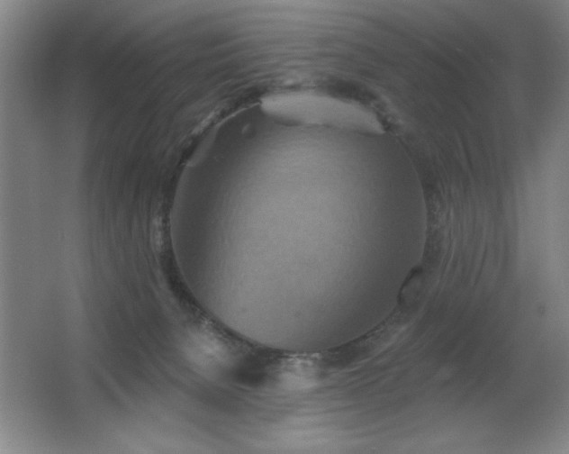 X0000067350080200603311203