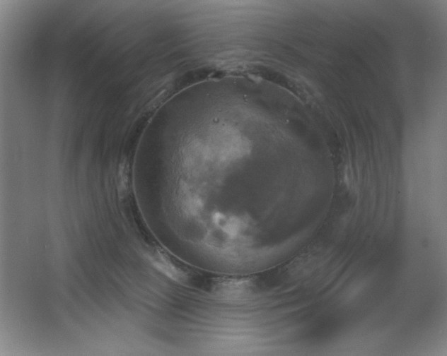 X0000067350081200603311203