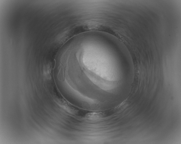 X0000067350082200603311203