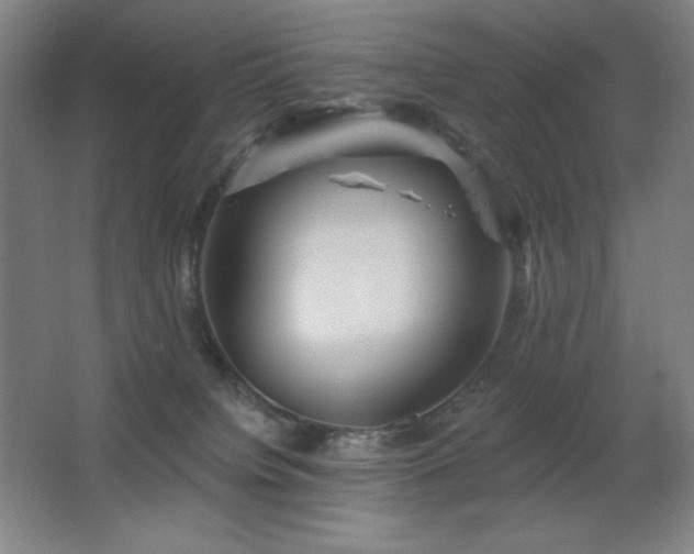 X0000067350084200603311203