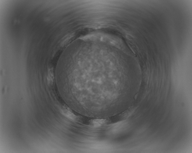X0000067350085200603311203