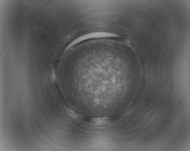 X0000067350089200603311203