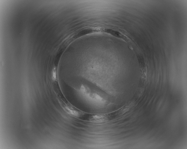 X0000067350095200603311203