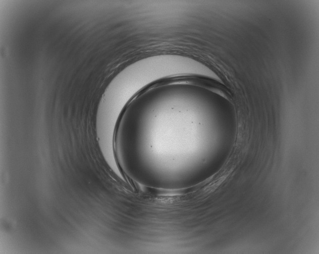 X0000067350096200603311203