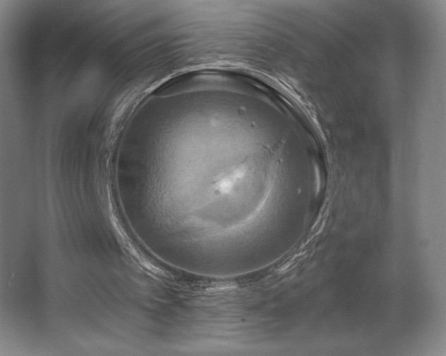 X0000067350097200603311203