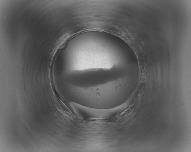X0000067350099200603311203