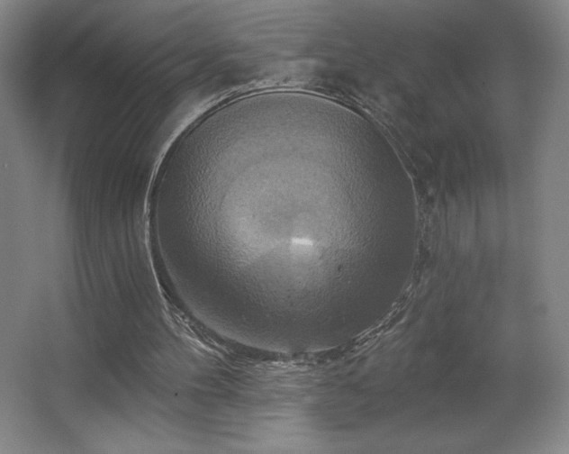 X0000067350100200603311202