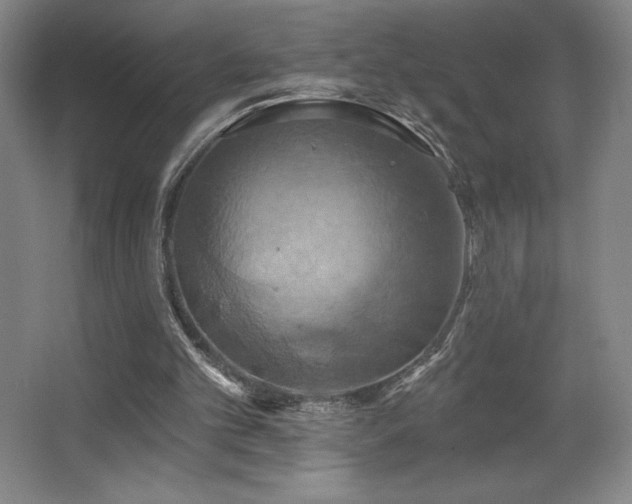 X0000067350101200603311202