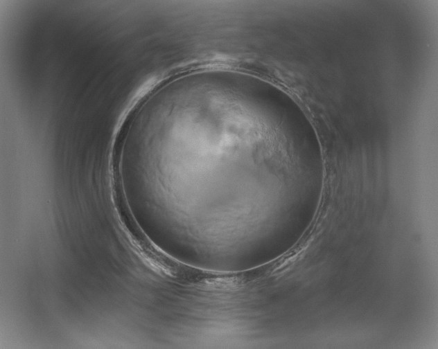 X0000067350102200603311202
