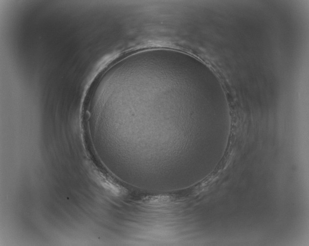 X0000067350104200603311202