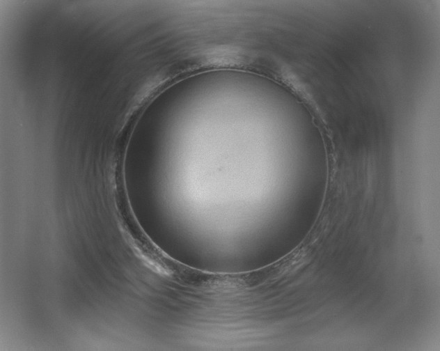 X0000067350106200603311202
