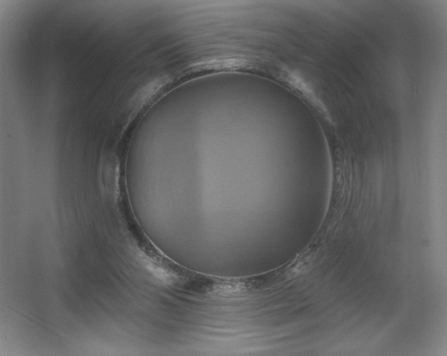 X0000067350110200603311202