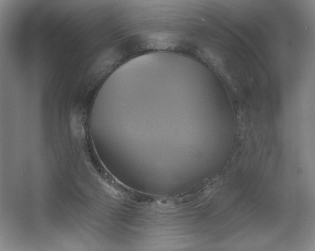 X0000067350114200603311202
