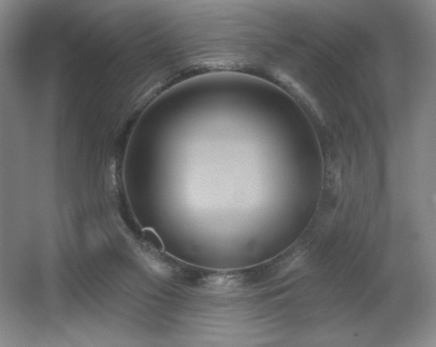 X0000067350117200603311202
