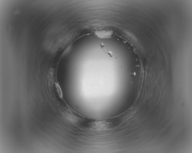 X0000067350121200603311202