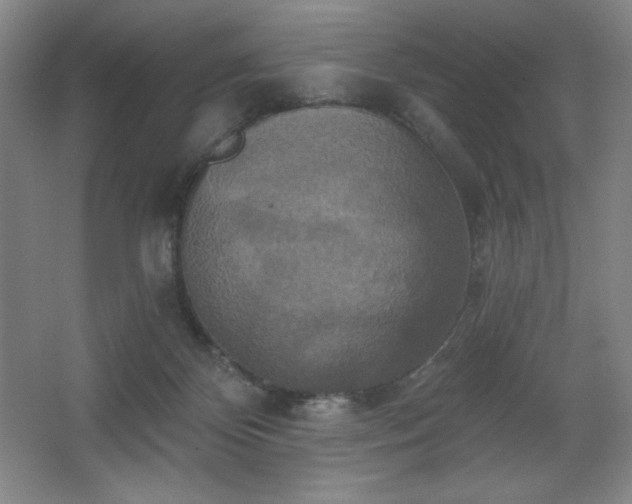 X0000067350124200603311202