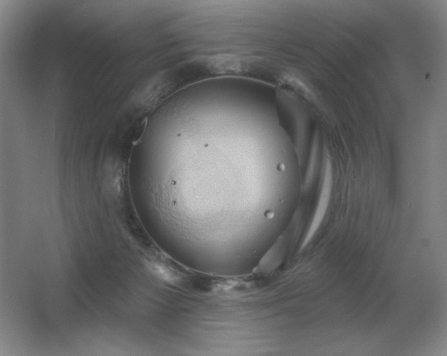 X0000067350125200603311202