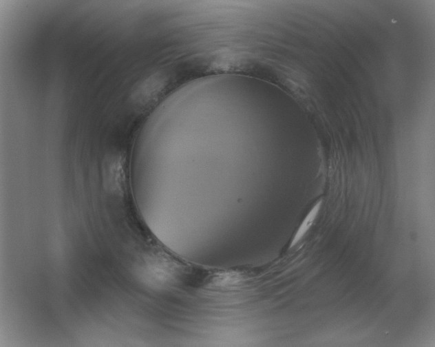 X0000067350127200603311202