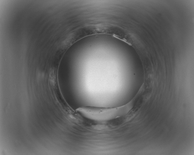 X0000067350129200603311202