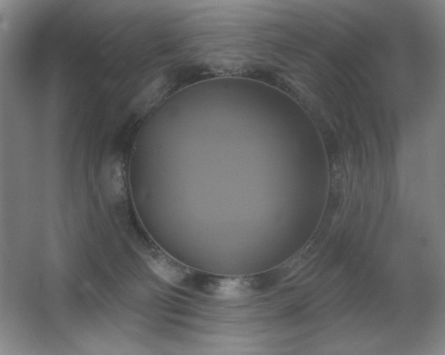 X0000067350130200603311202
