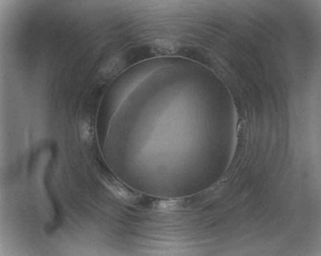 X0000067350134200603311202