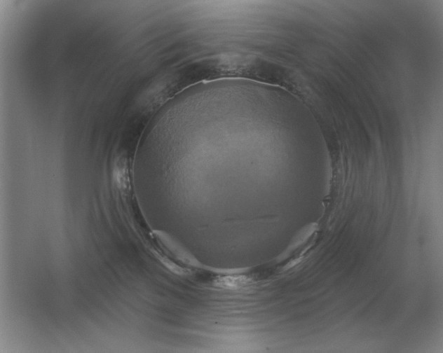 X0000067350137200603311202