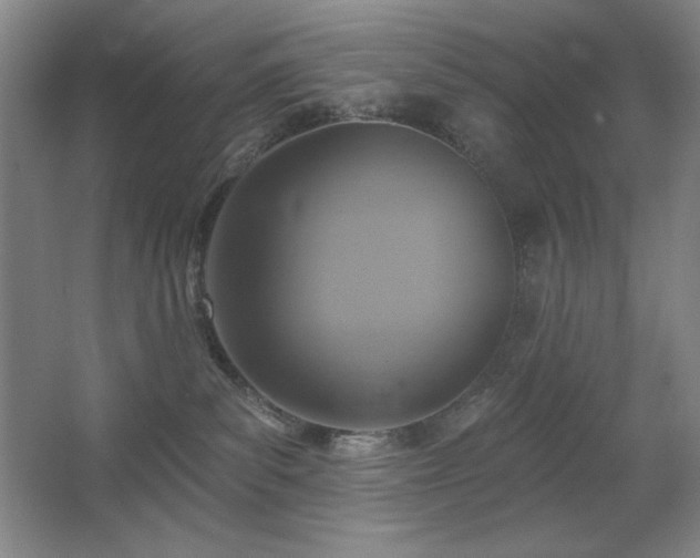 X0000067350139200603311202