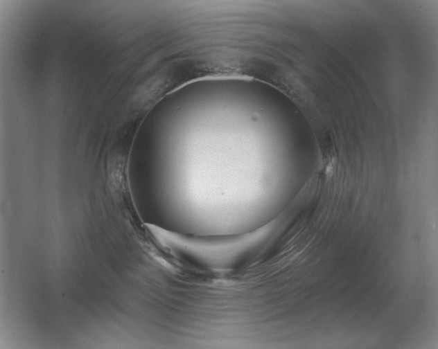 X0000067350141200603311202