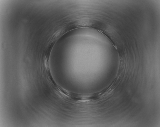 X0000067350143200603311202