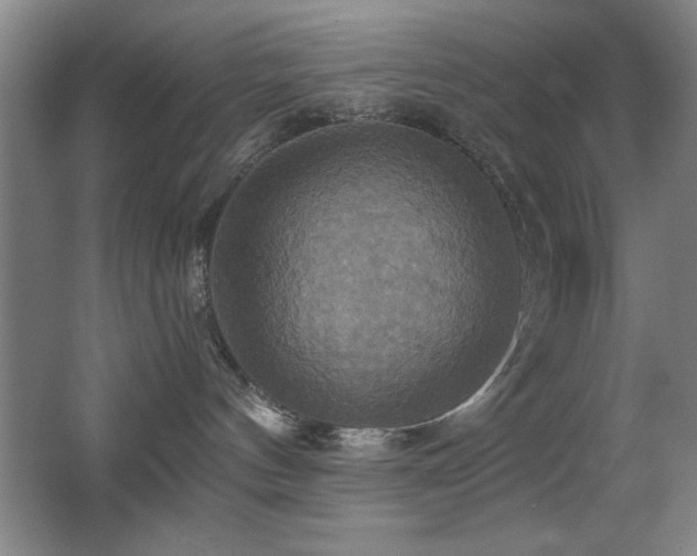 X0000067350144200603311202