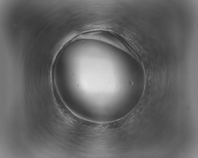 X0000067350148200603311201