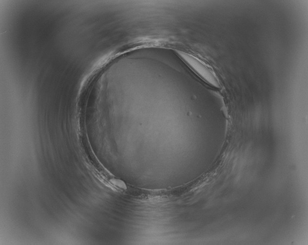 X0000067350149200603311201