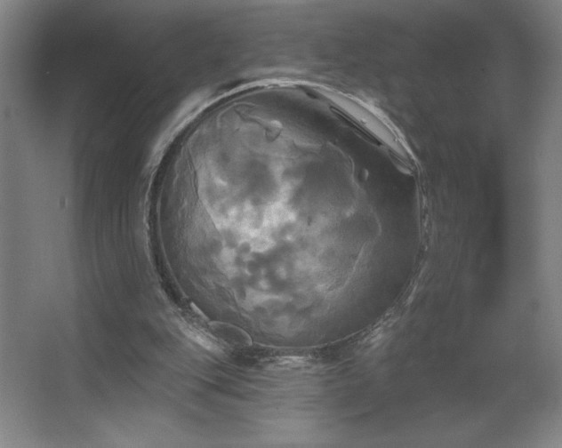 X0000067350151200603311201