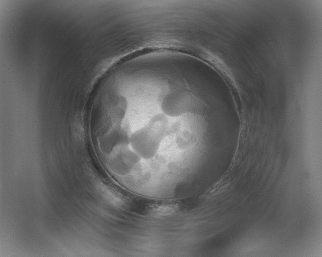 X0000067350155200603311201