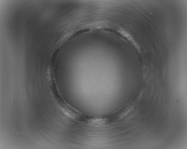 X0000067350161200603311201