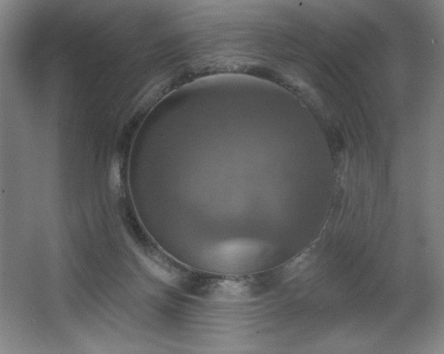 X0000067350166200603311201