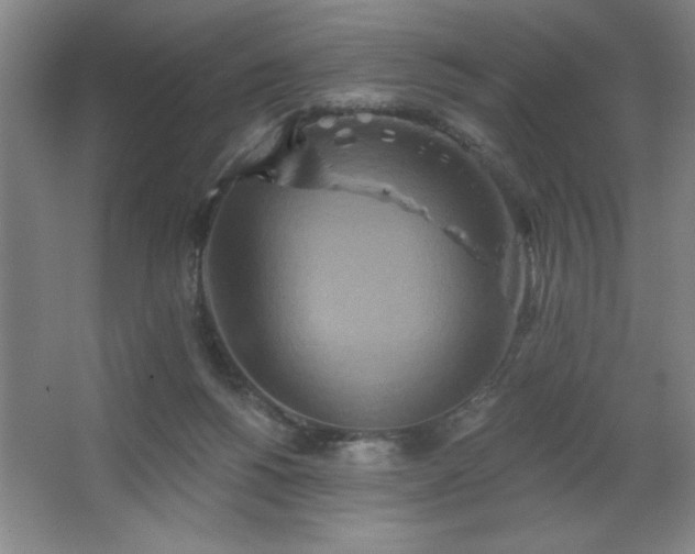 X0000067350168200603311201