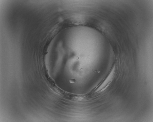 X0000067350170200603311201