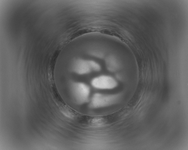 X0000067350173200603311201
