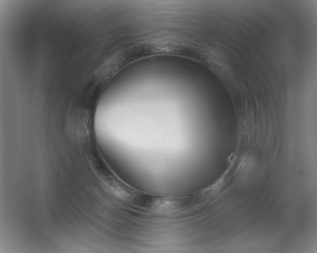 X0000067350174200603311201