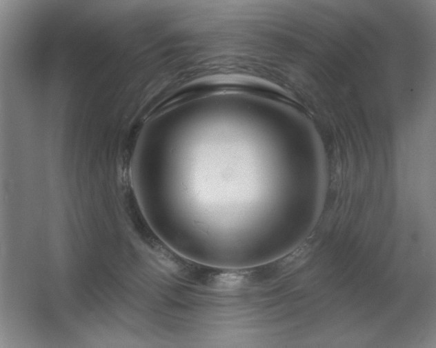 X0000067350176200603311201
