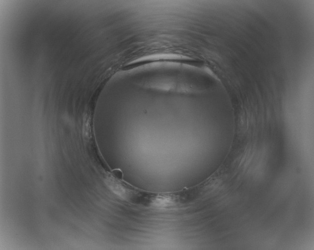 X0000067350177200603311201
