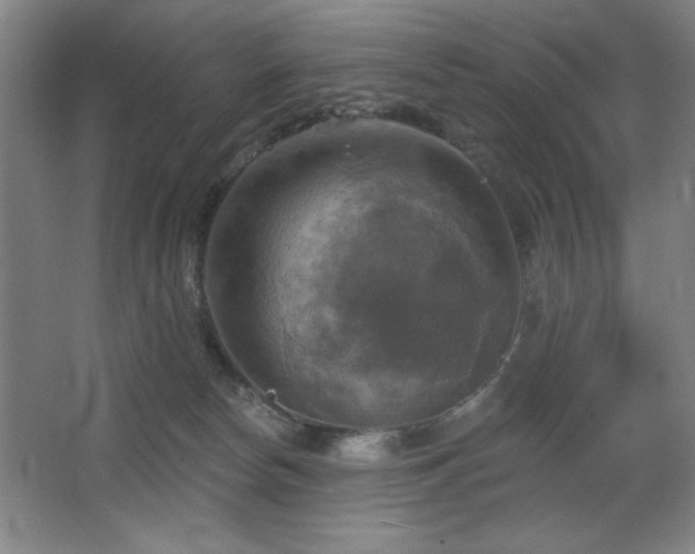 X0000067350178200603311201